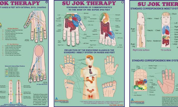 SUJOK THERAPY CHART-SET OF 3