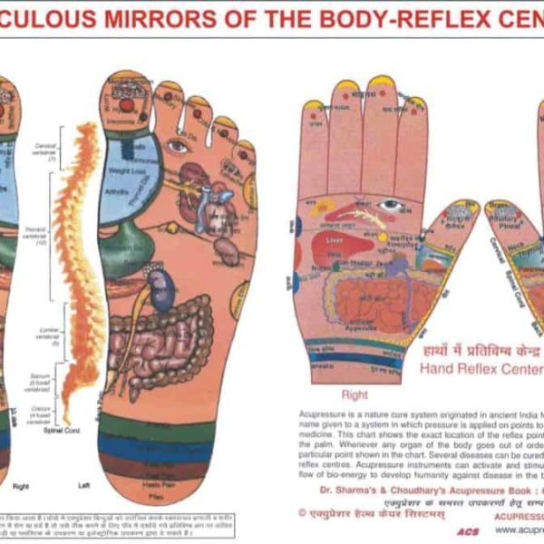 REFLEXOLOGY CHART - FOOT & HAND