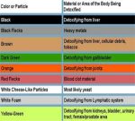 DETOX FOOT SPA - DUAL MODAL