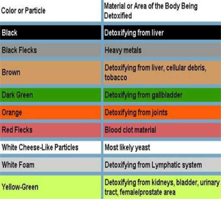 DETOX FOOT SPA - DUAL MODAL